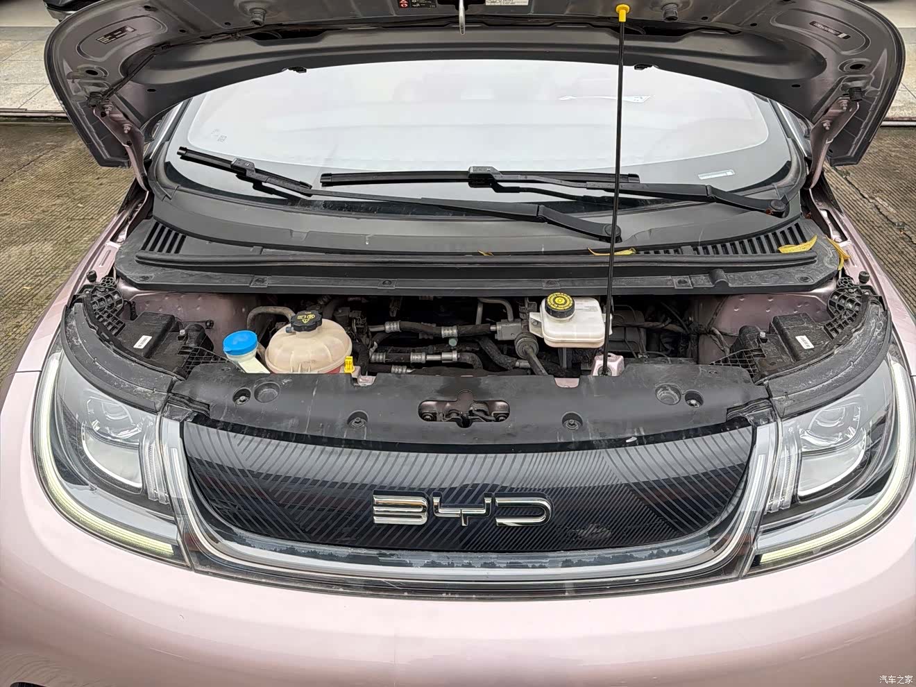 BYD Dolphin, 2022 10