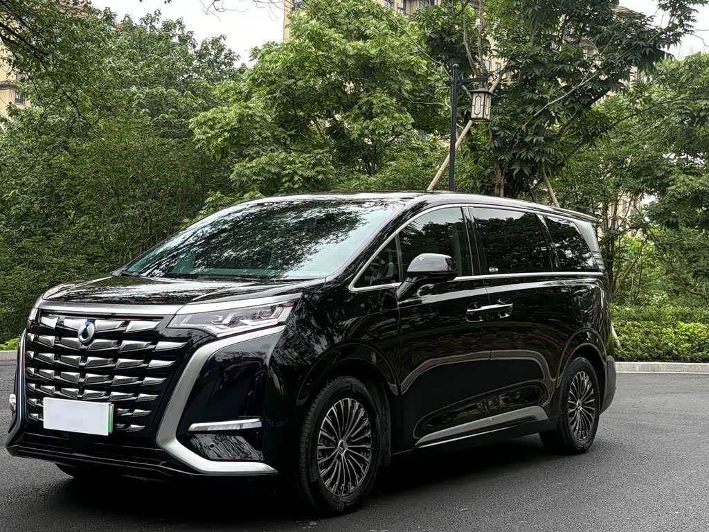 Denza D9