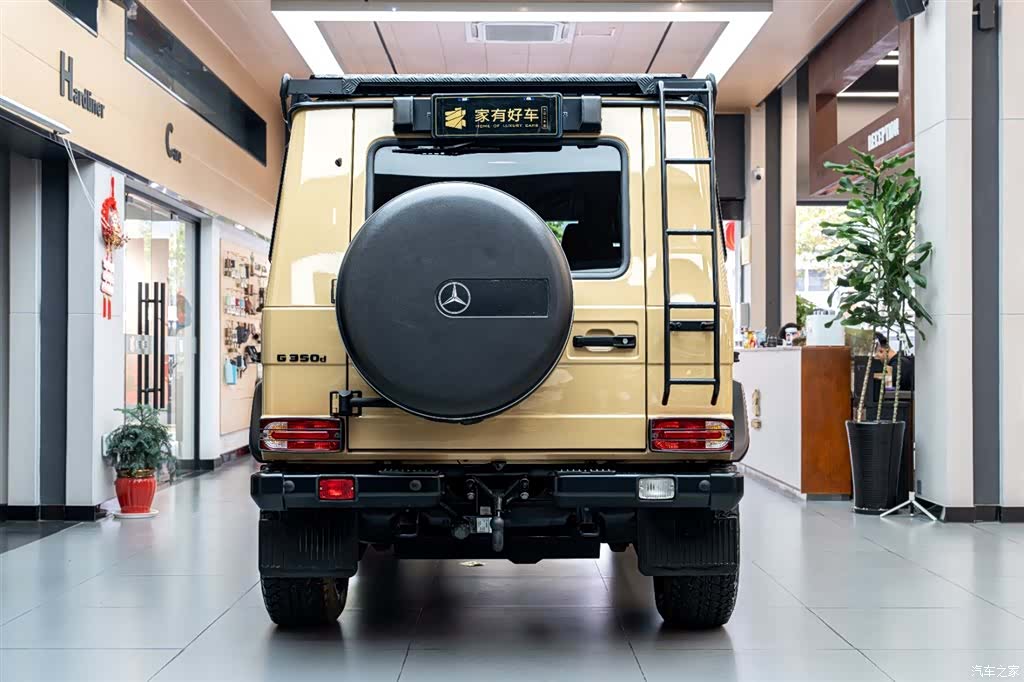 Mercedes-Benz G-Class, 2017 все фото