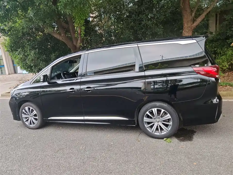 Trumpchi Trumpchi M8