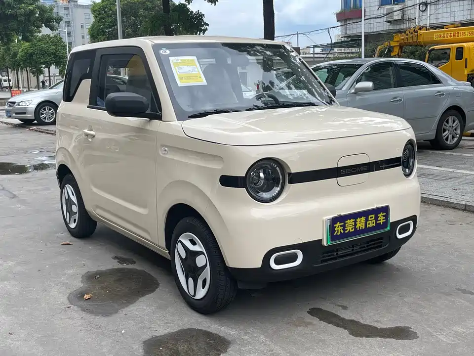 Geely Galaxy panda