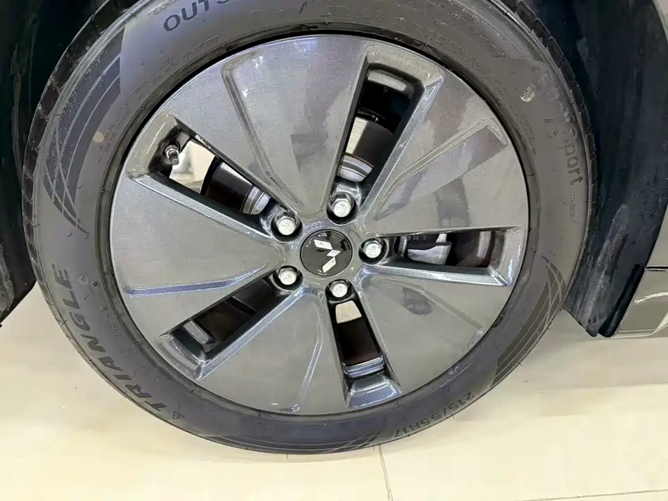 Wuling Wuling Starlight