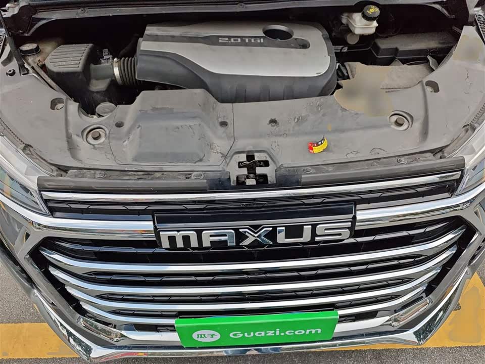 MAXUS Chase G20