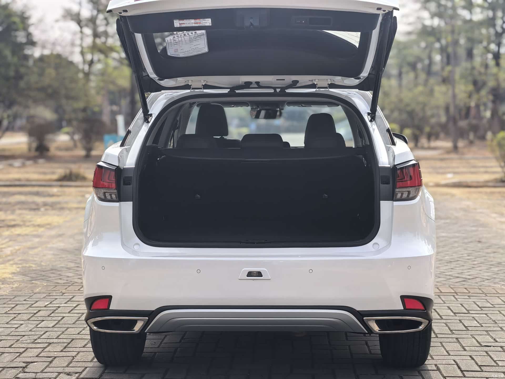 Lexus RX, 2019 17