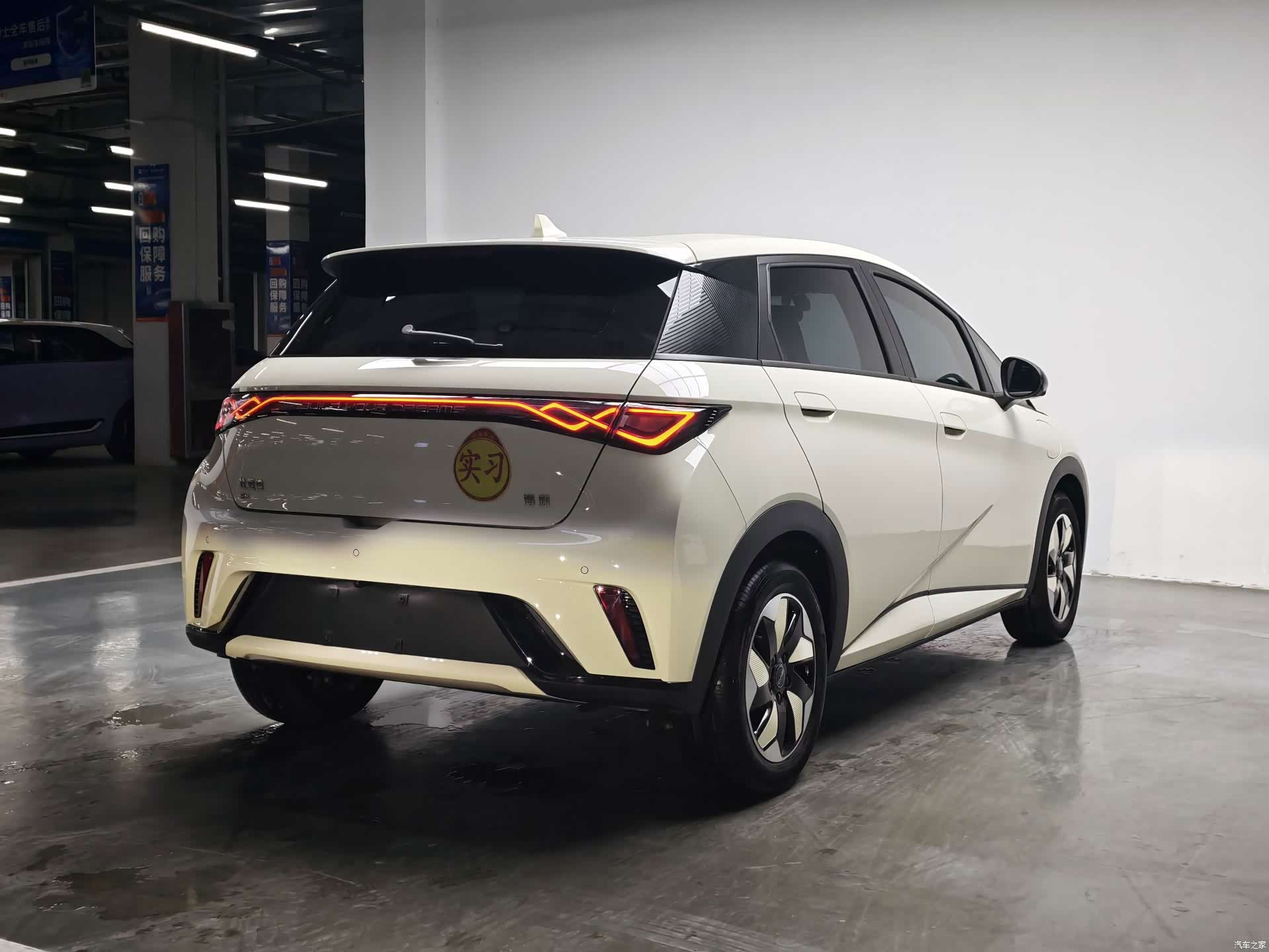 BYD Dolphin, 2025 12