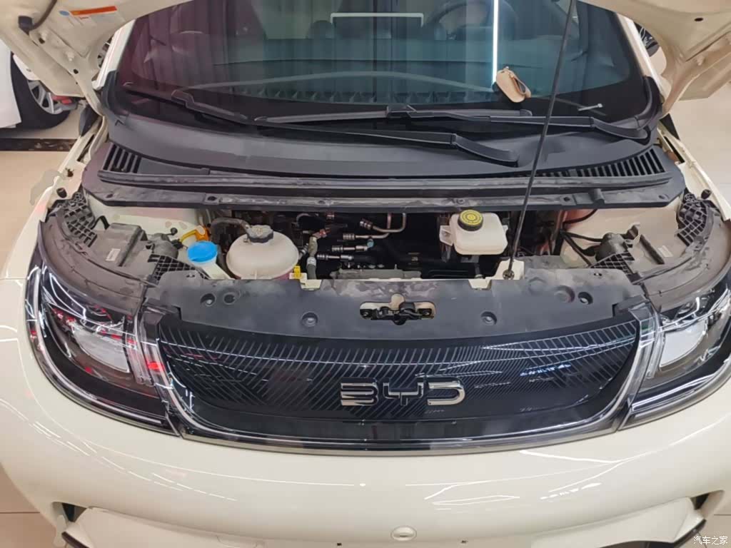 BYD Dolphin, 2024 20