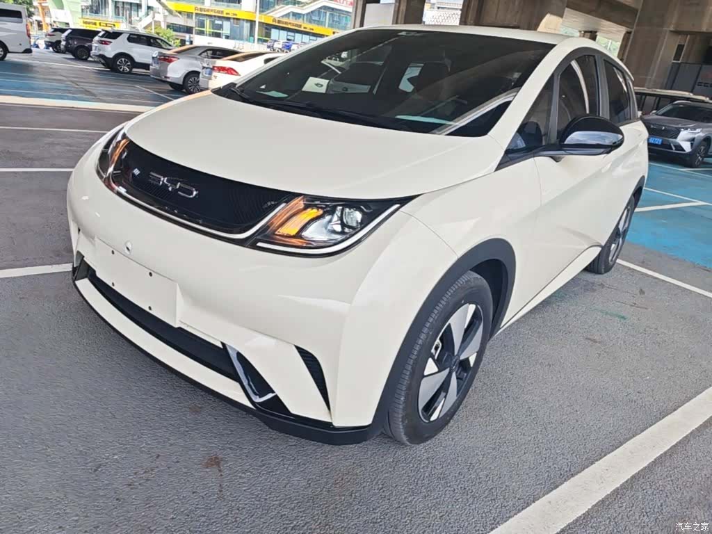 BYD Dolphin, 2023 1