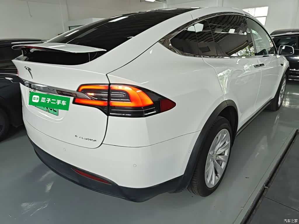 Tesla Model X, 2021 все фото