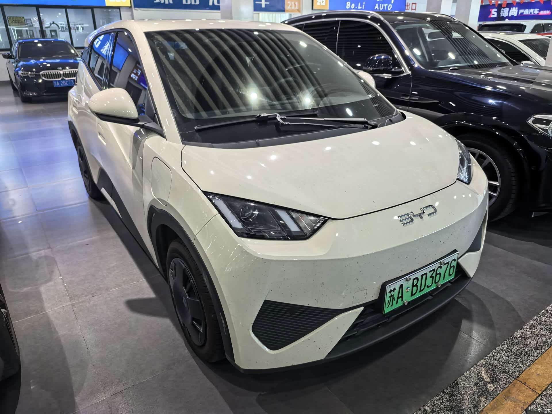 BYD Seagull, 2026 3