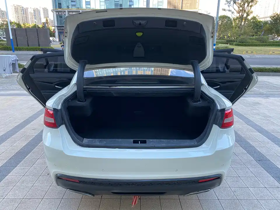 Geely Borui