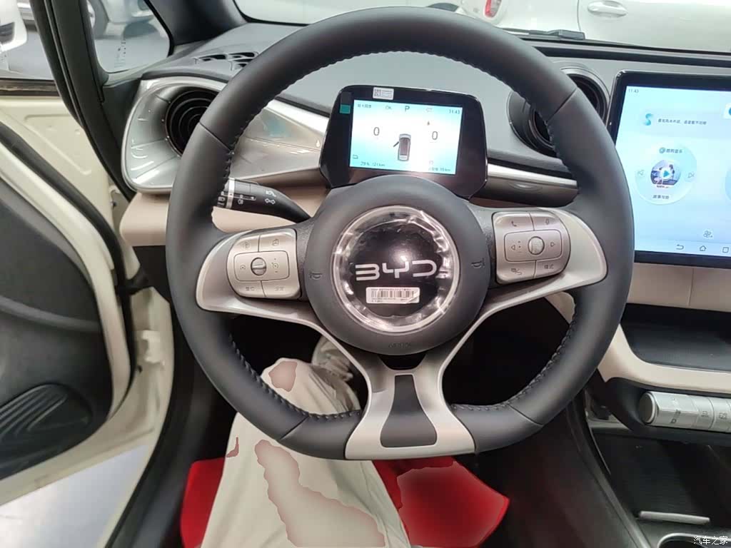 BYD Dolphin, 2026 11