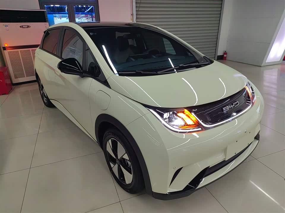 BYD dolphin