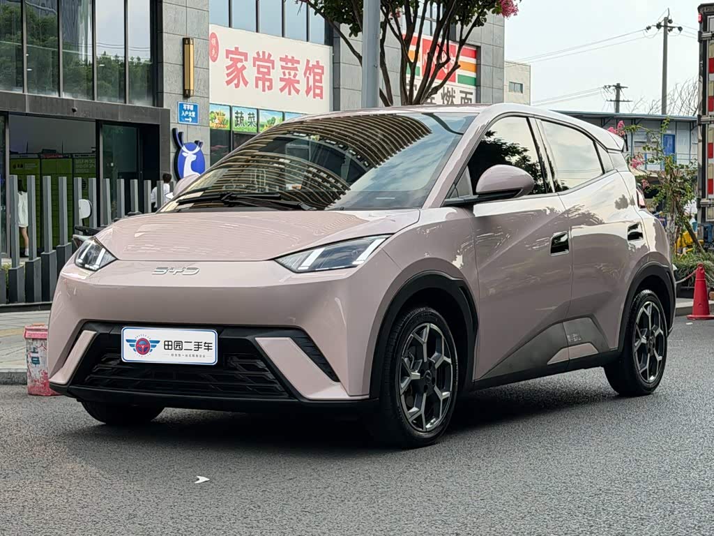 BYD Seagull