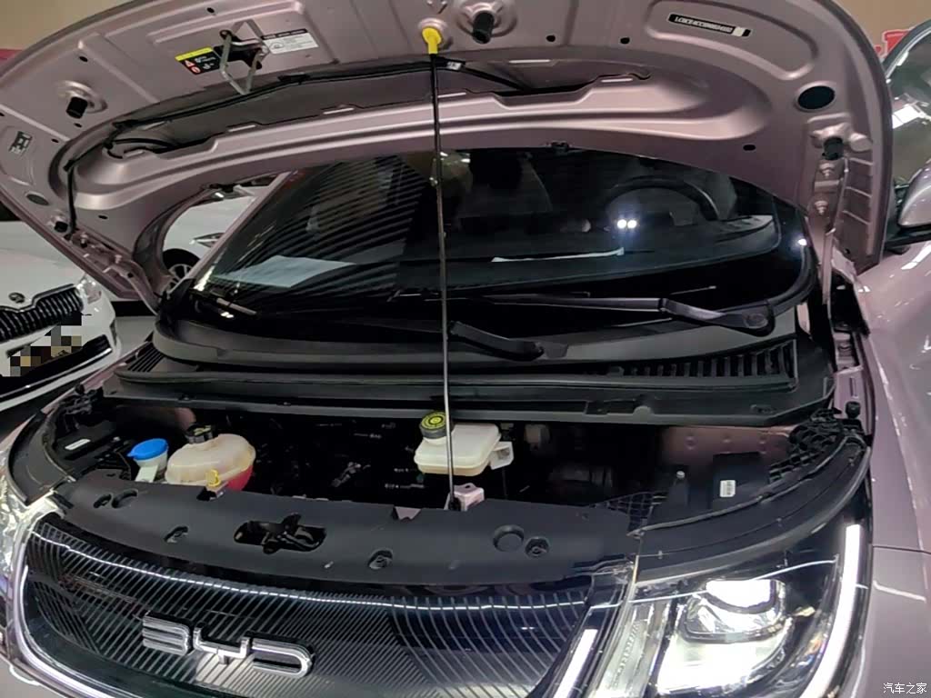 BYD Dolphin, 2023 20