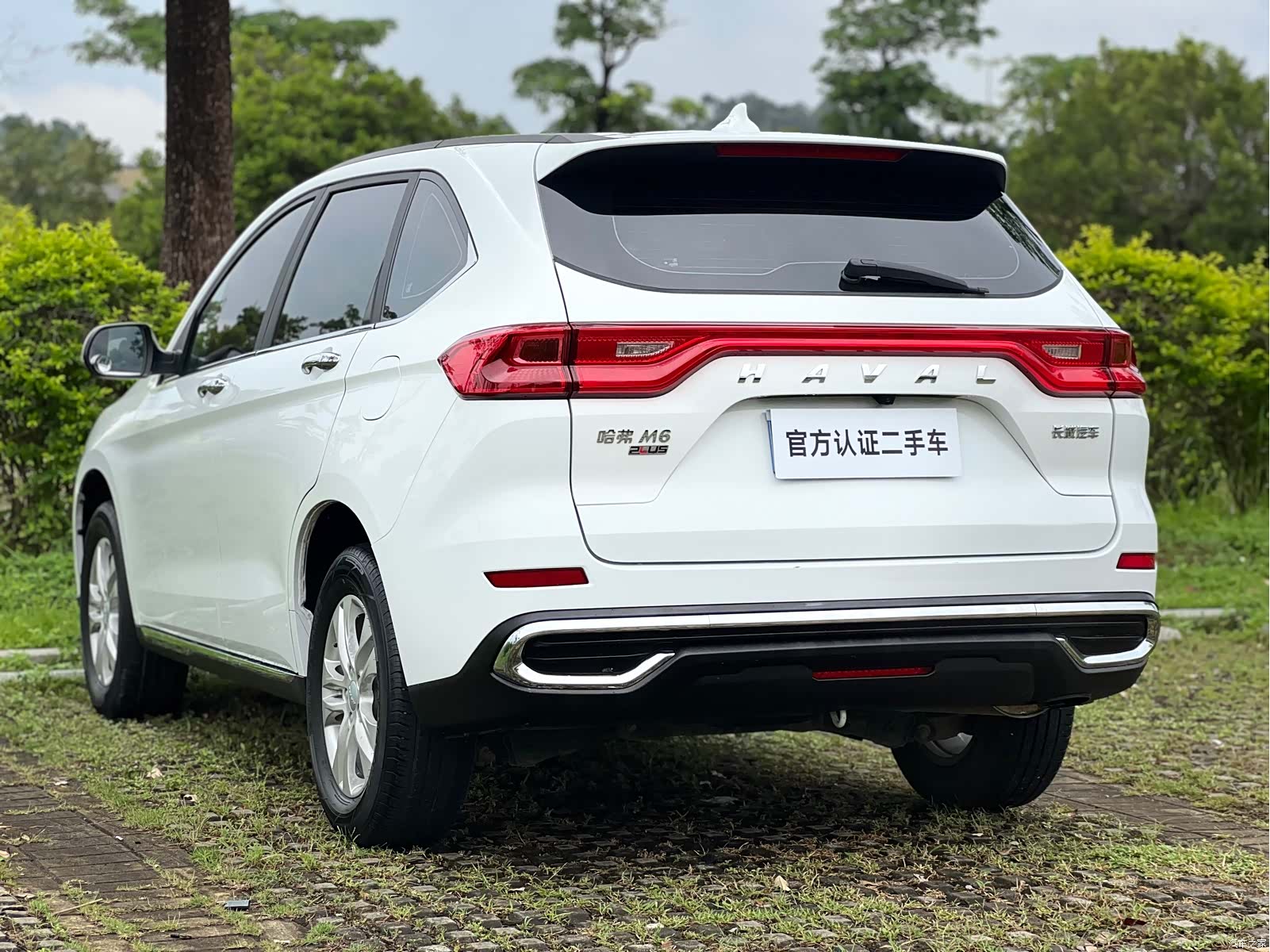 Haval M6, 2021 все фото