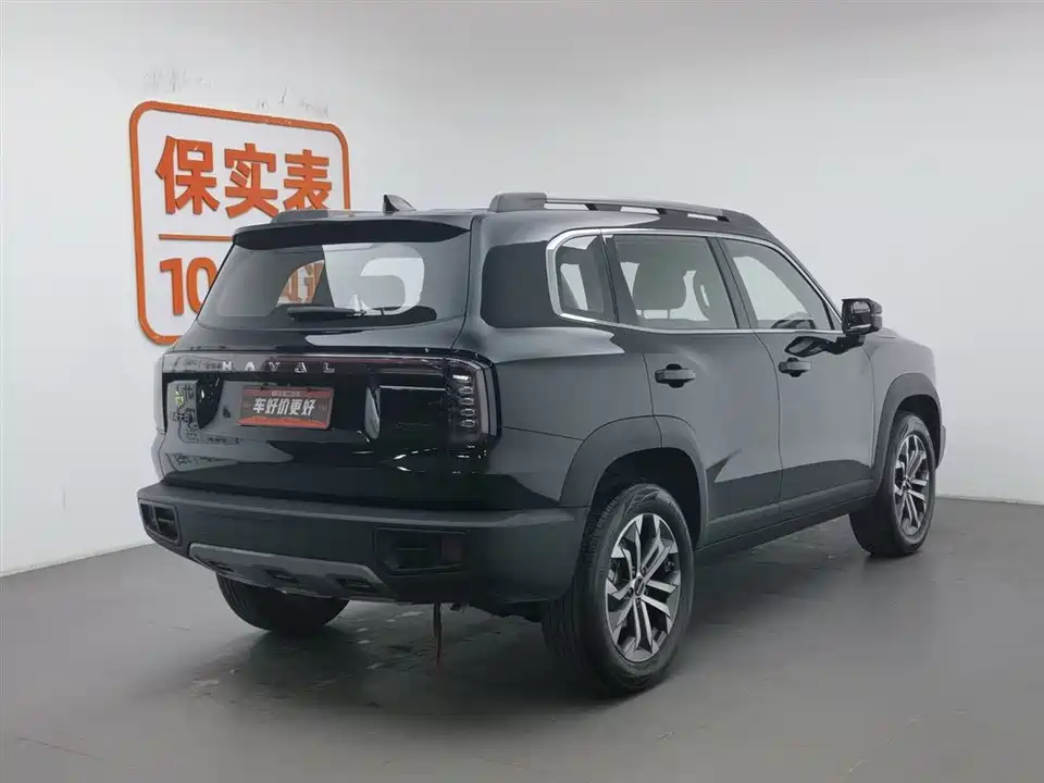 Haval Big dog