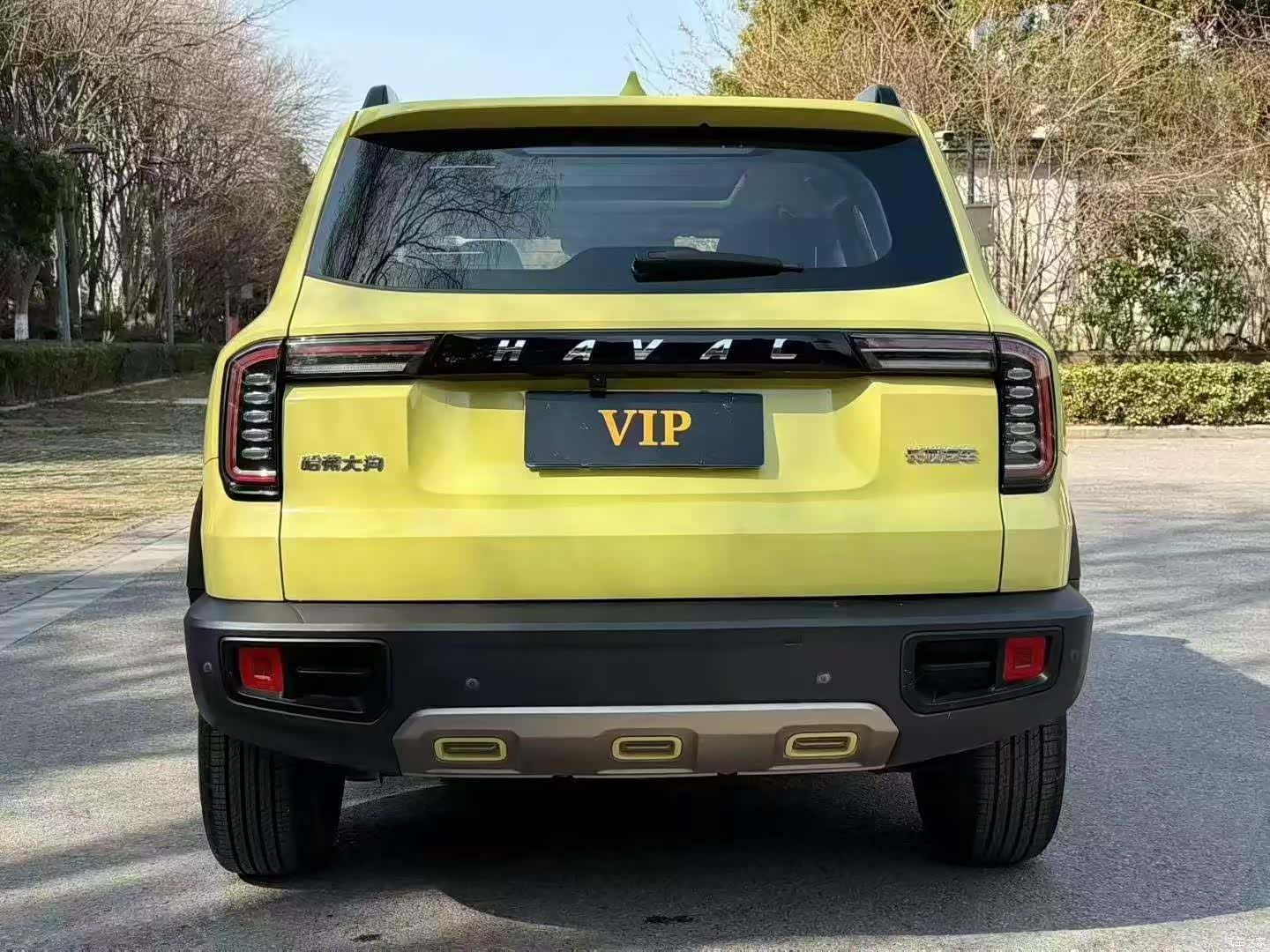 Haval Big Dog, 2022 все фото