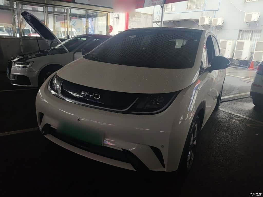 BYD Dolphin, 2024 2