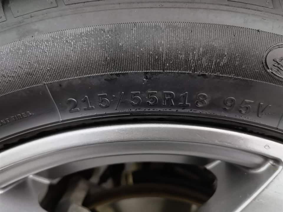 Leopaard Cheetah CS9