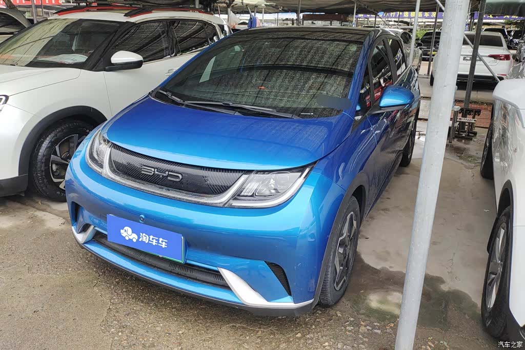 BYD Dolphin, 2022 1