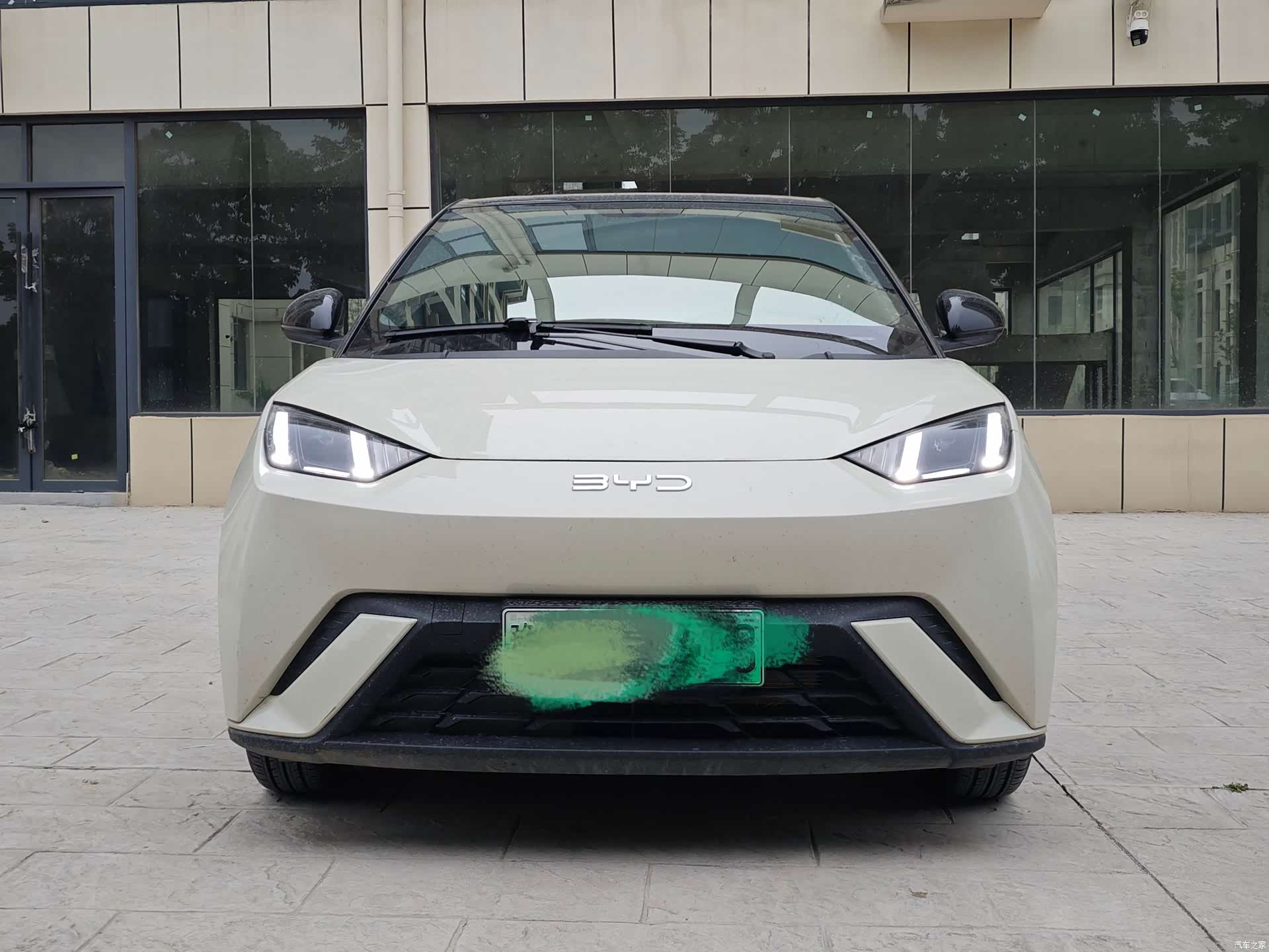 BYD Seagull, 2025 2