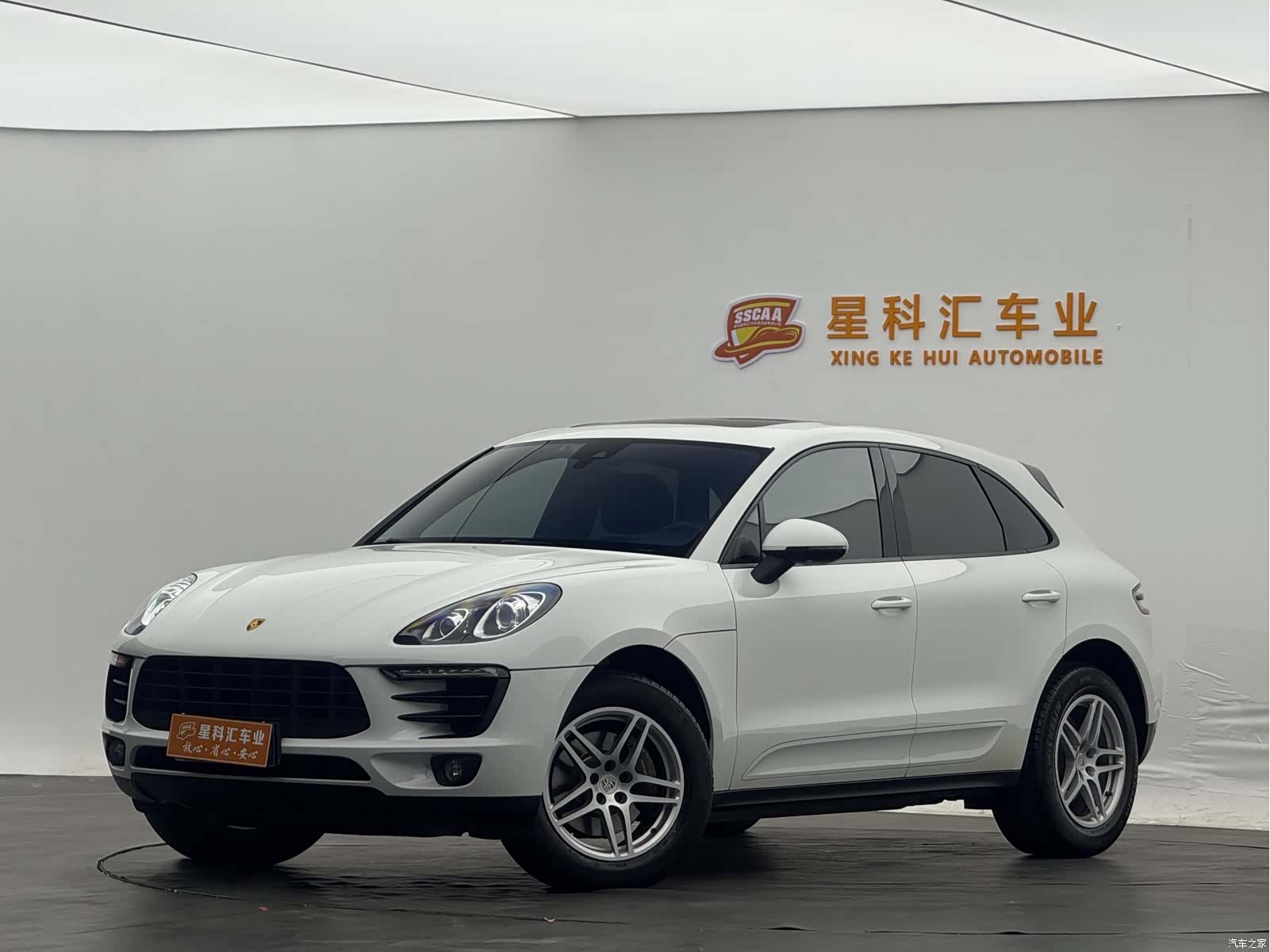 Macan Macan, 2016 1