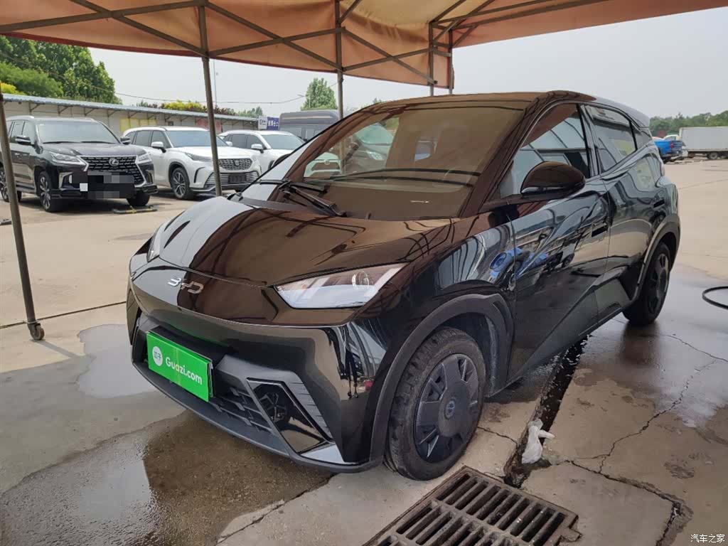 BYD Seagull, 2024 2