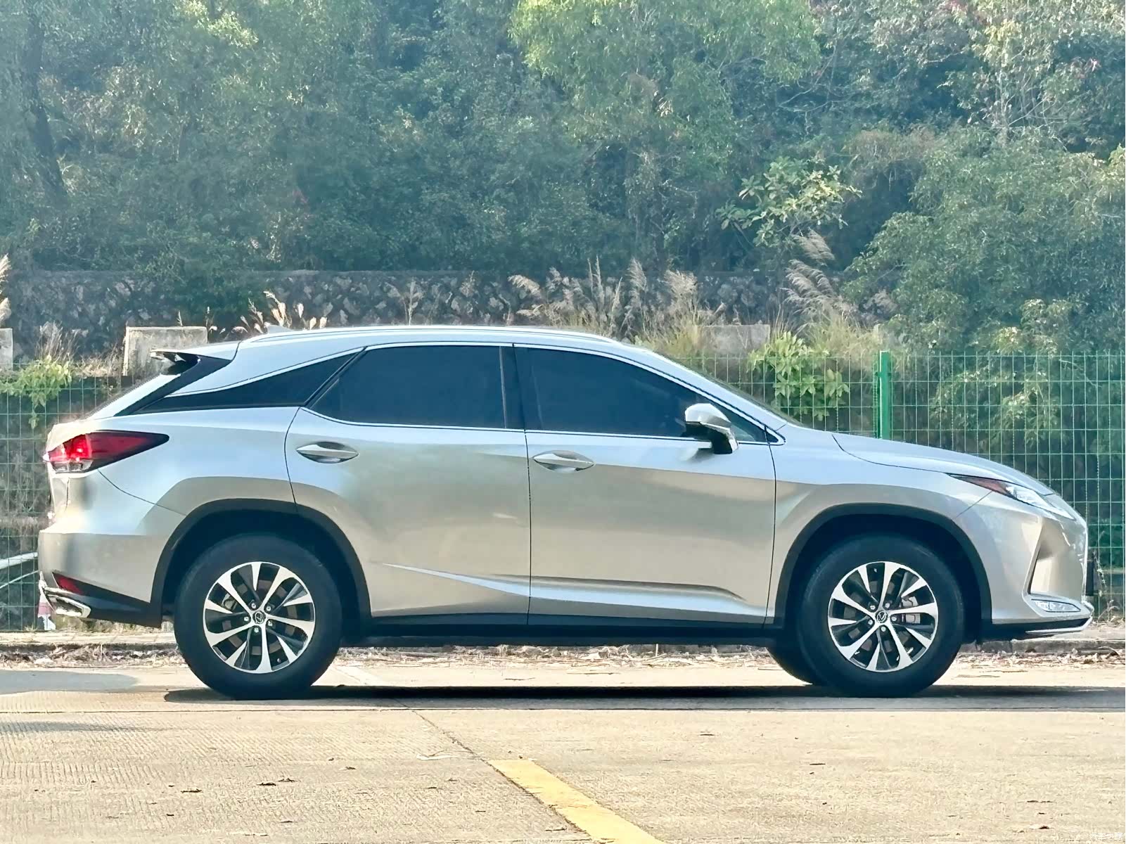Lexus RX, 2022 все фото