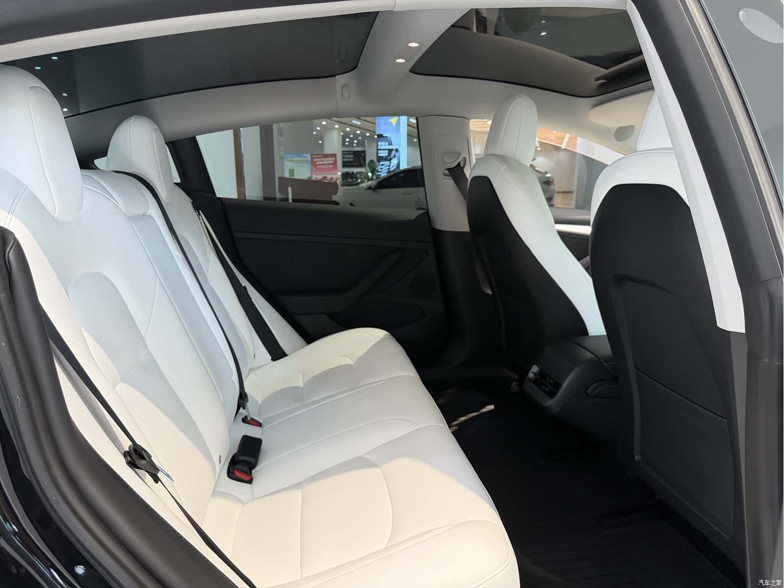 Tesla Model 3, 2022 11