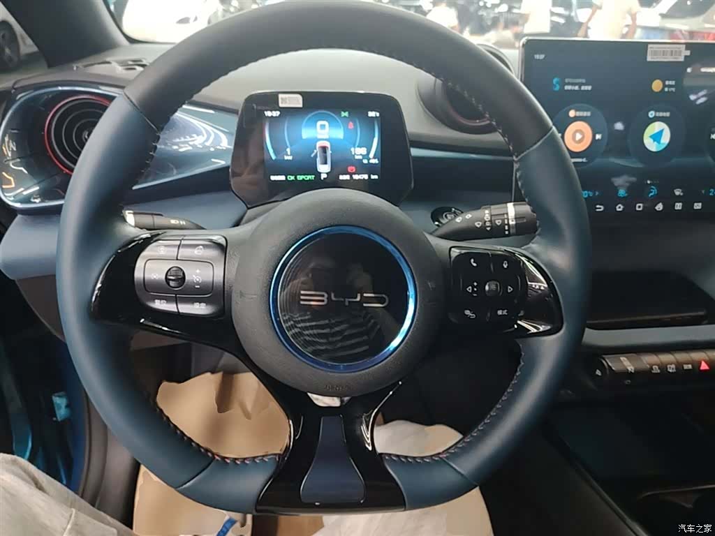 BYD Dolphin, 2023 10