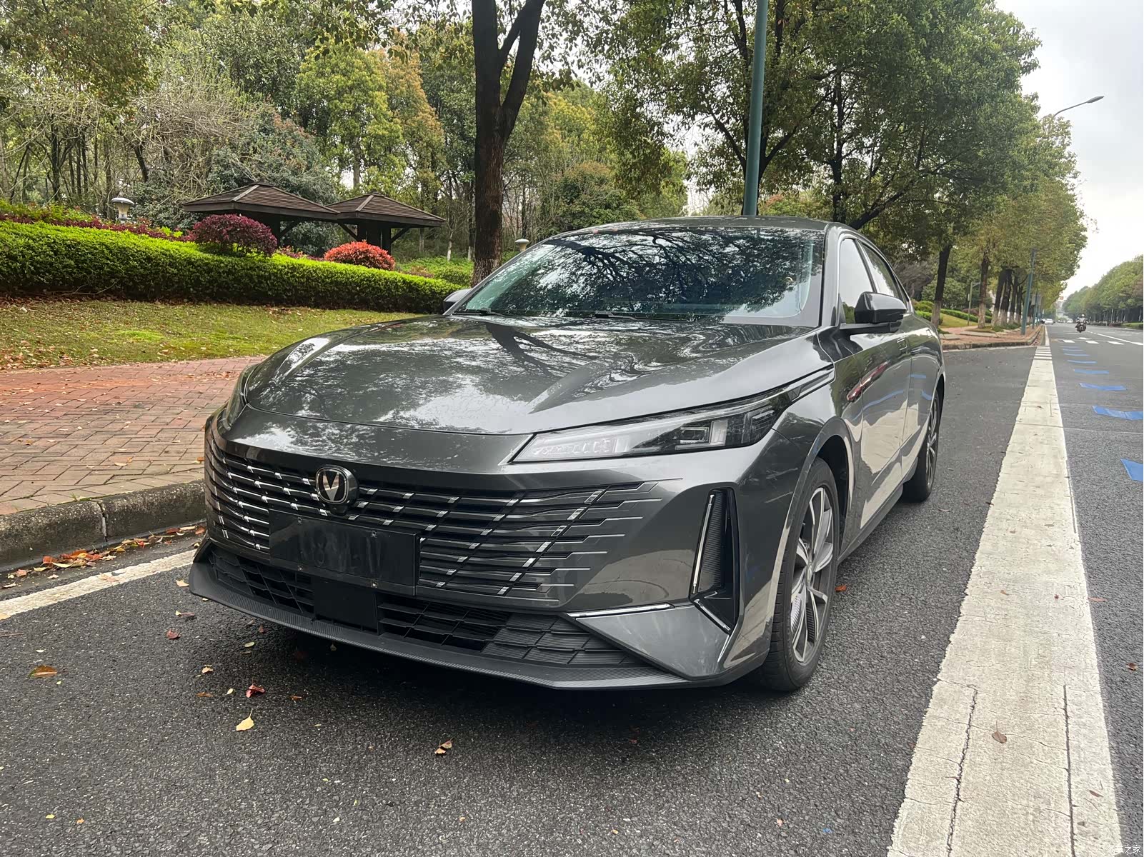 Changan Eado, 2024 1