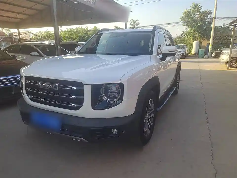 Haval Big dog