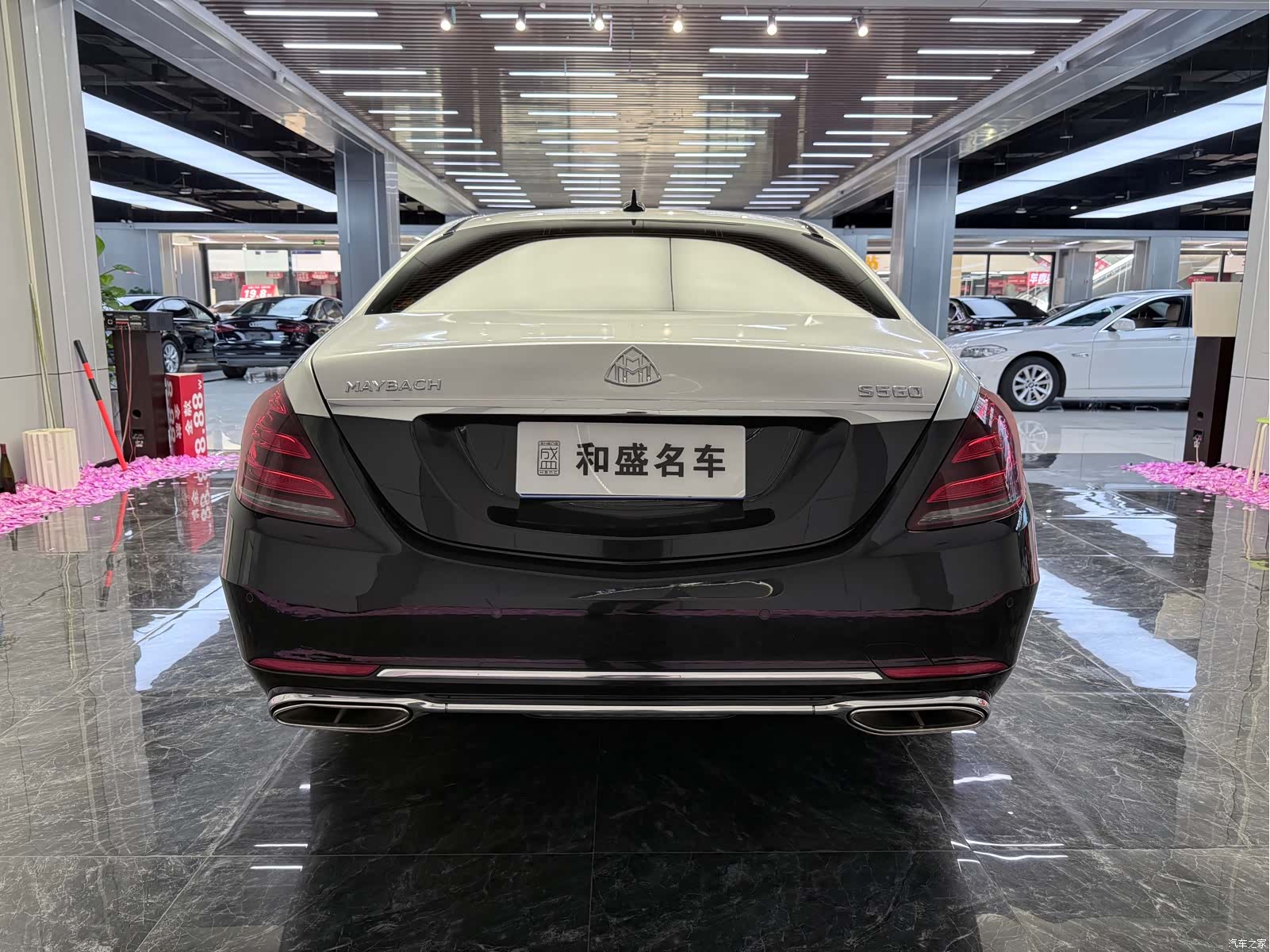 Maybach S-Class, 2020 8