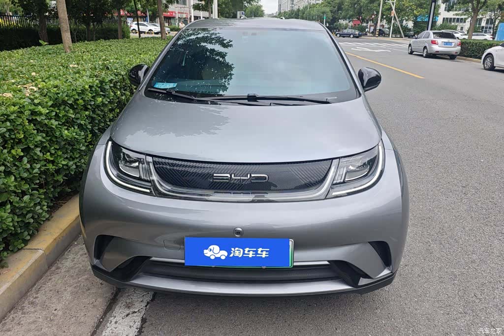 BYD Dolphin, 2024 2