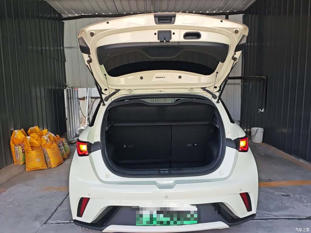 BYD Dolphin, 2024 19