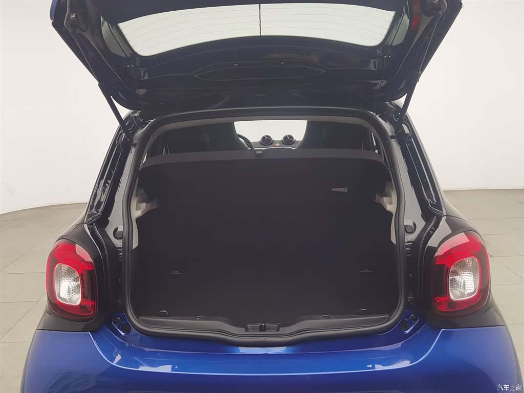 Smart Forfour, 2017 16