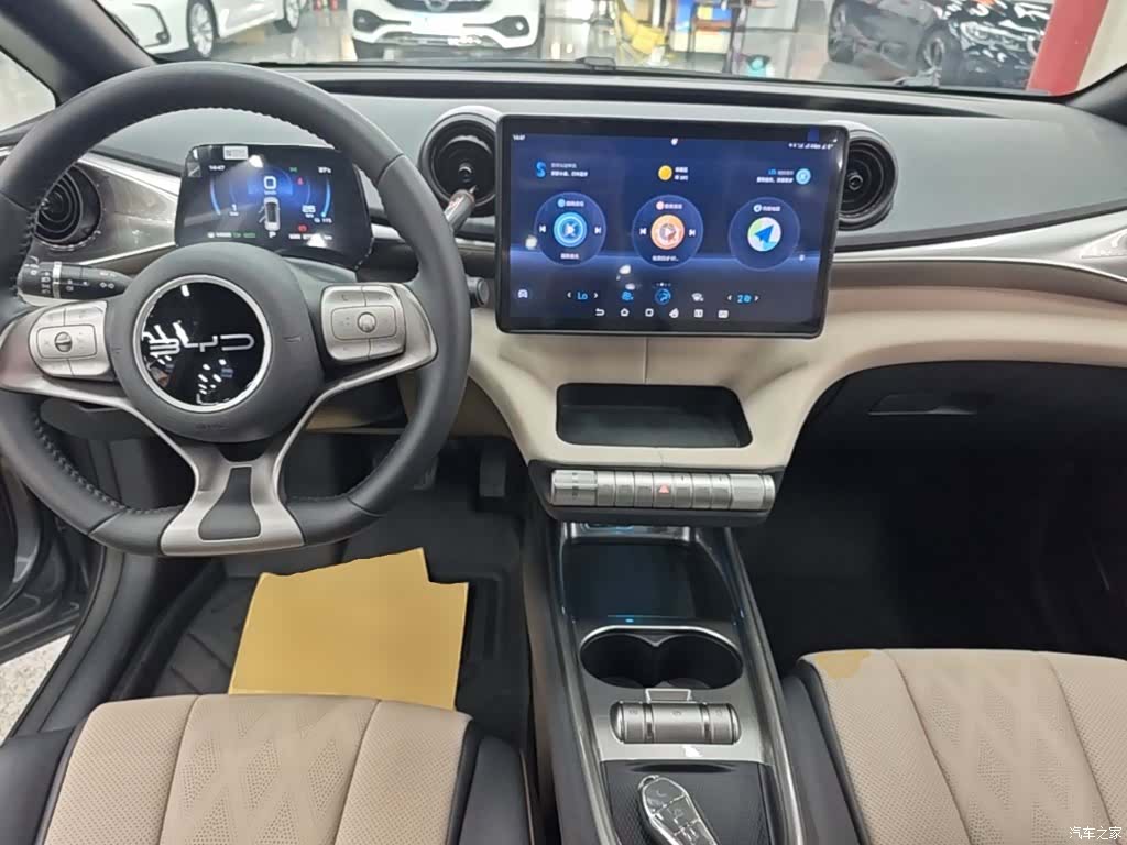 BYD Dolphin, 2024 10
