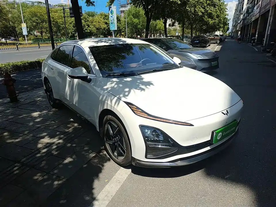 Wuling Wuling Starlight