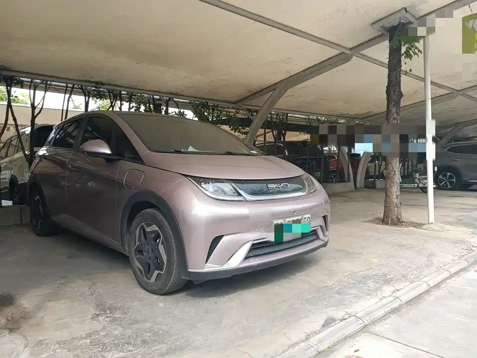 BYD dolphin