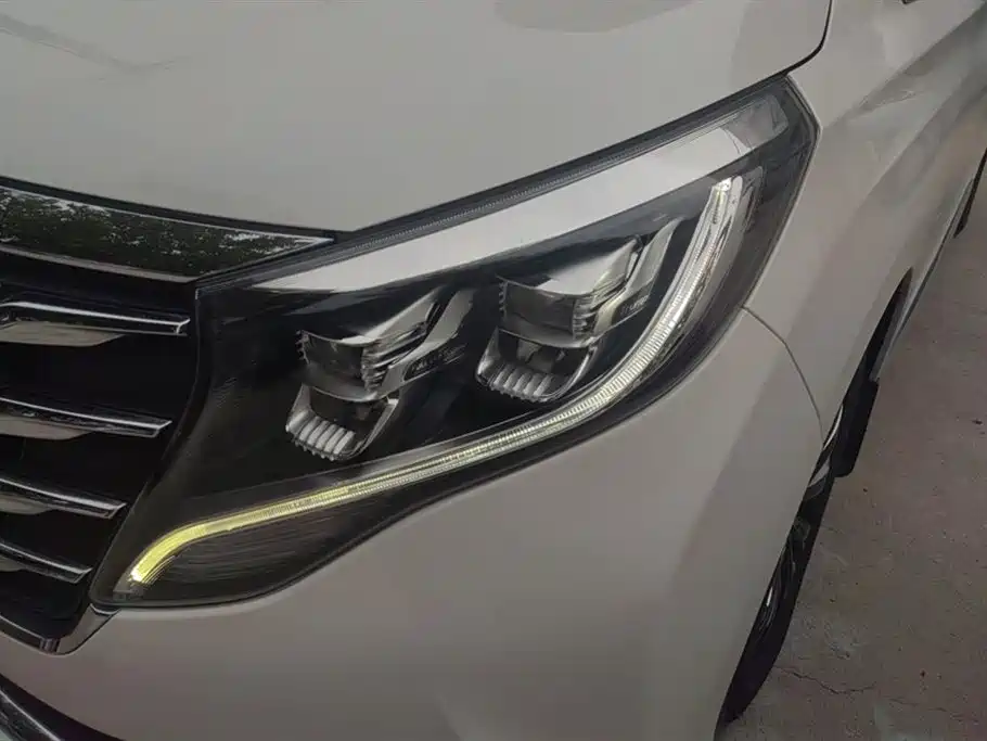 Trumpchi Trumpchi M8