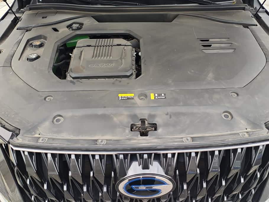 Trumpchi Trumpchi ES9