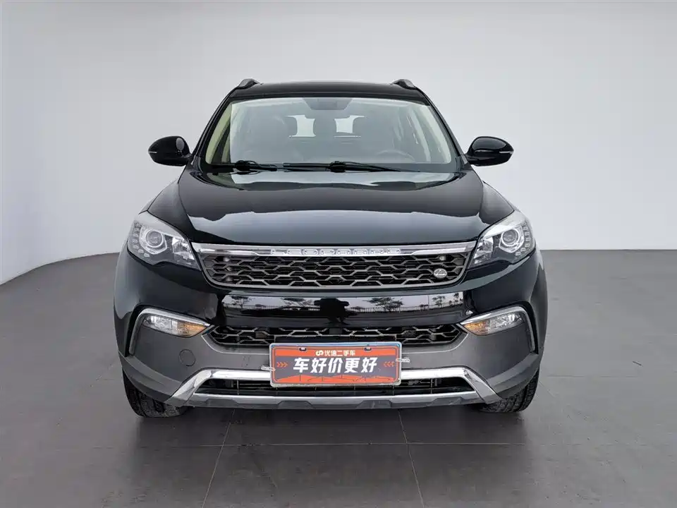 Leopaard Cheetah CS10