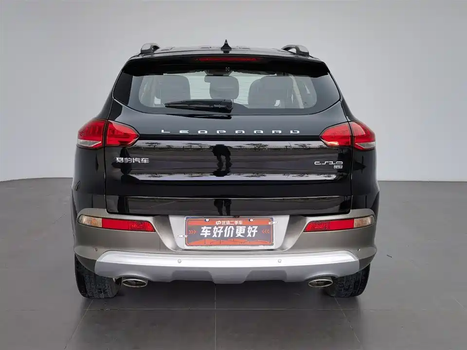 Leopaard Cheetah CS10