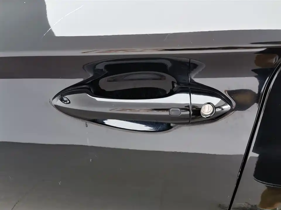 Leopaard Cheetah CS10