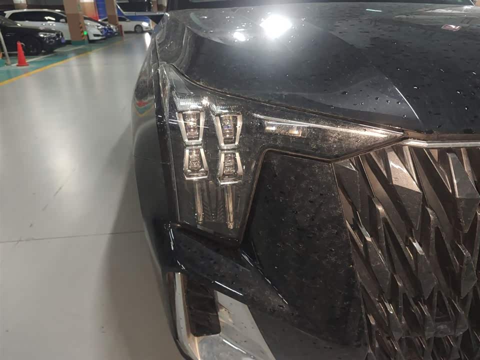 Trumpchi Trumpchi GS8