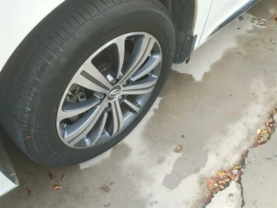 Trumpchi Trumpchi M8