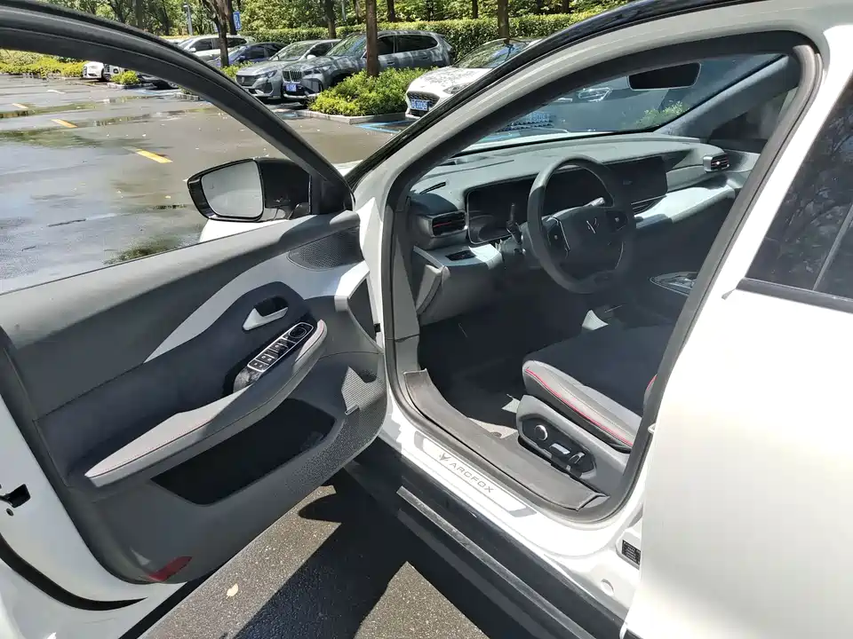 ARCFOX Polar Fox Alpha S