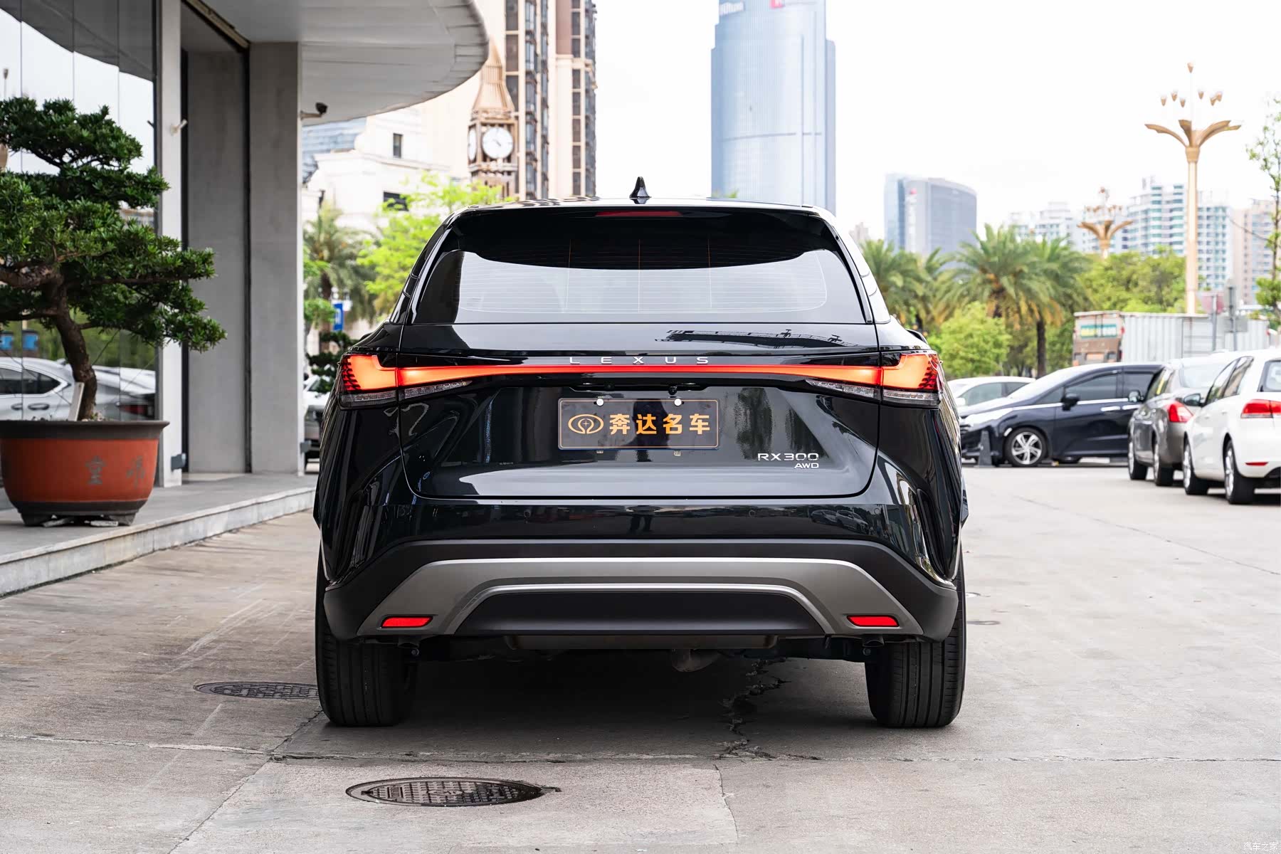 Lexus RX, 2025 все фото