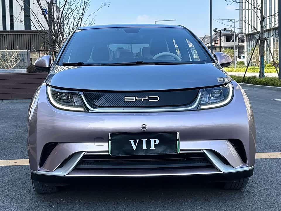 BYD dolphin