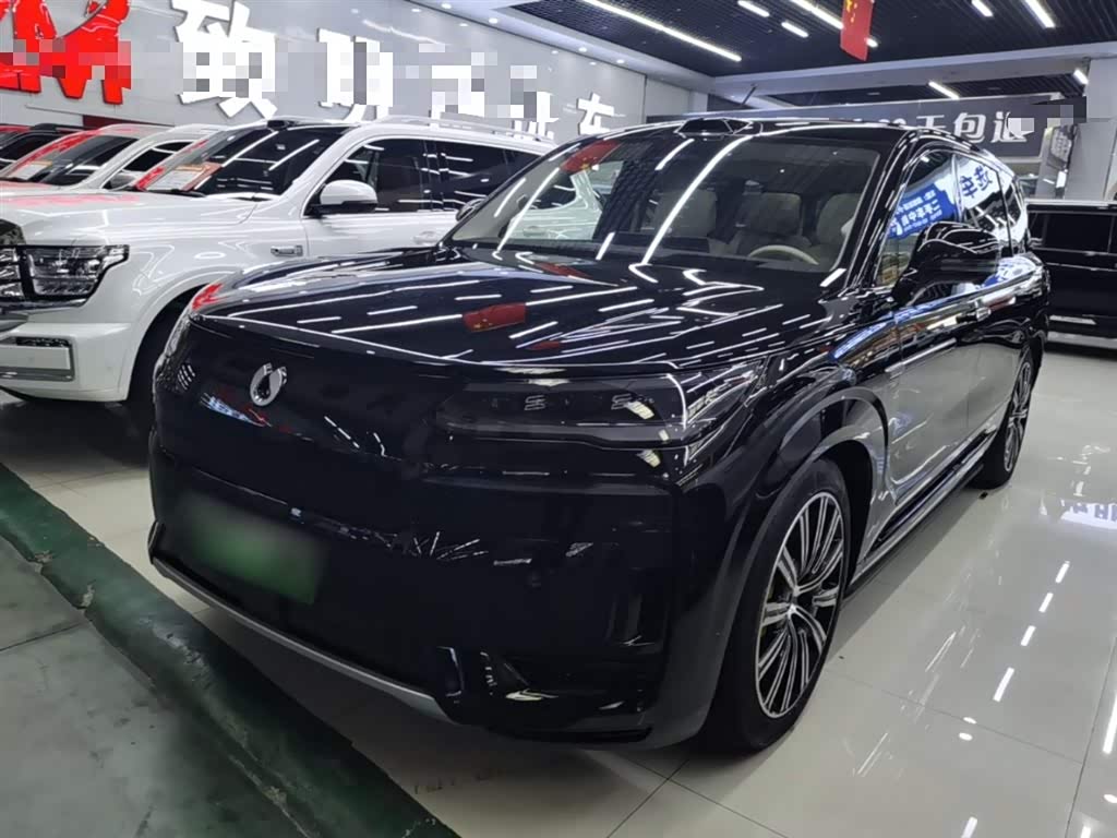 Denza N9